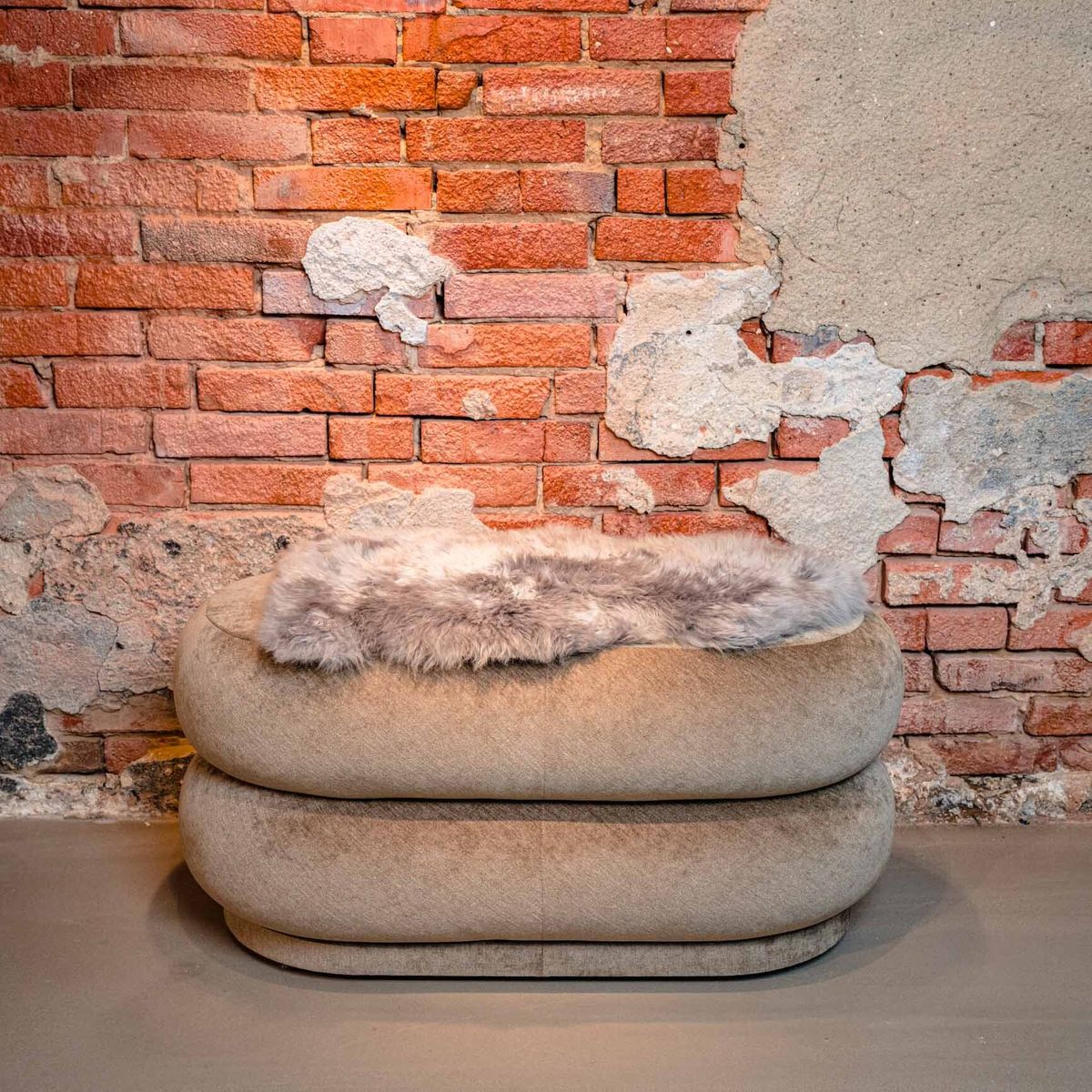 Peau de mouton mérinos | Long poil | Nouvelle-Zélande | Mini | 65×45 cm Beige foncé