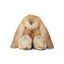 Color - Gold Fox/Beige
