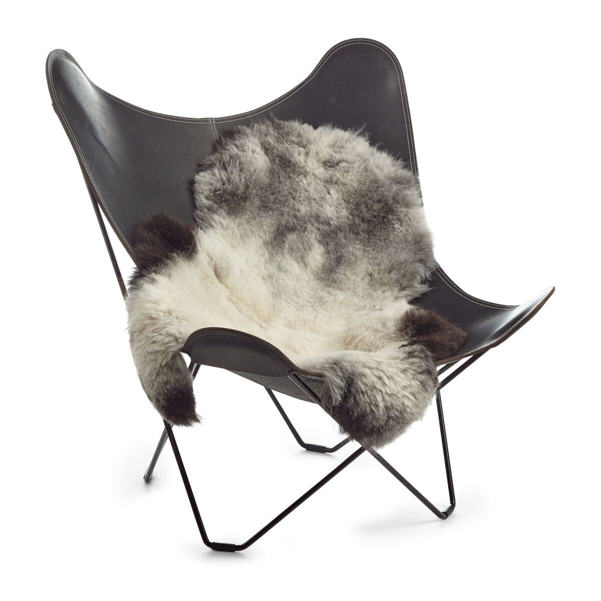 Peau de mouton islandaise | Laine courte | 120+ cm