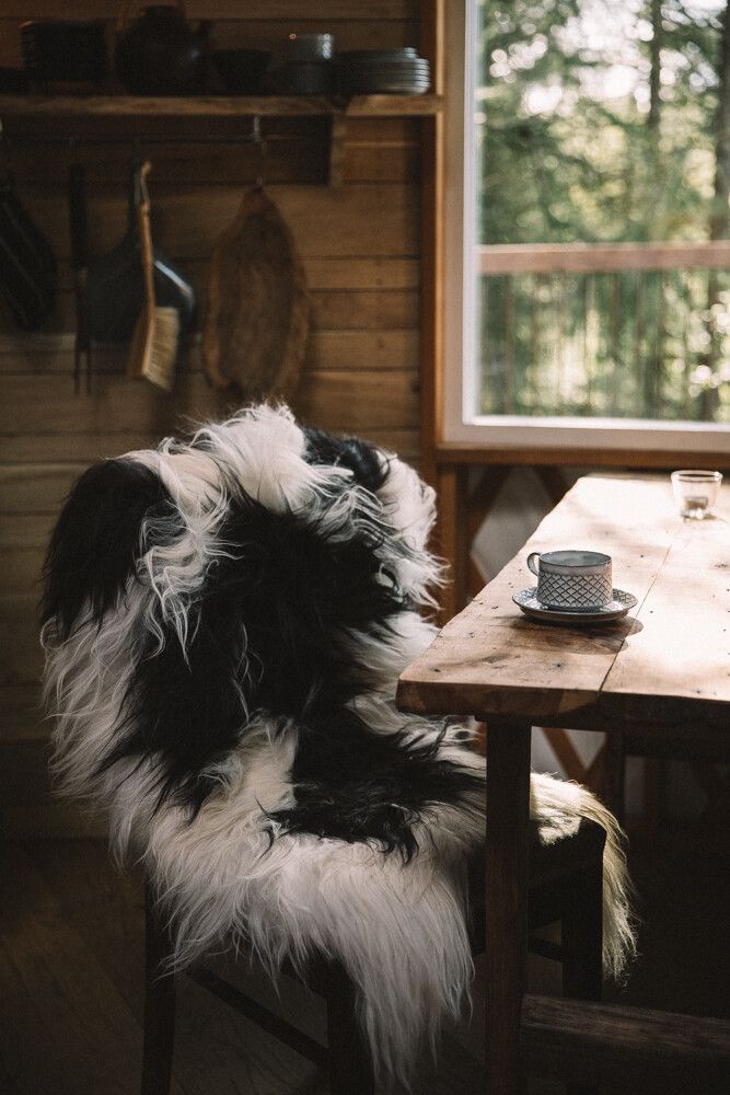 Icelandic Sheepskin | Long Wool | Natural colors | 90 cm Spotted
