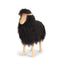 Color - Blacky