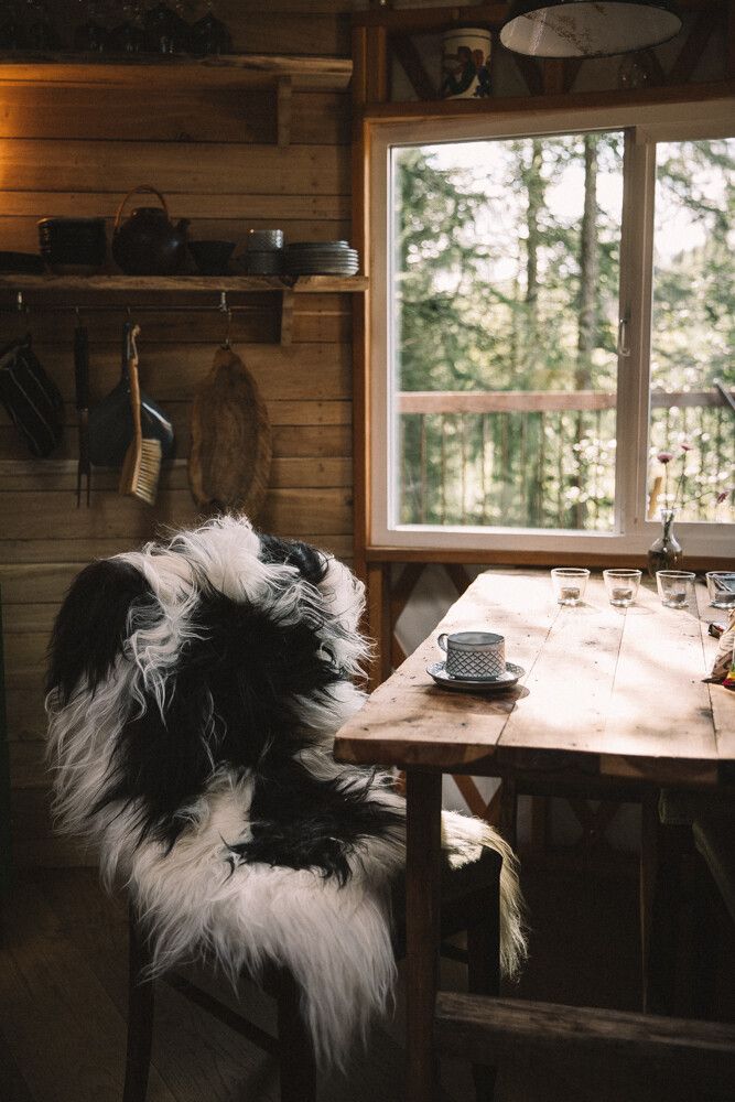 Icelandic Sheepskin | Long Wool | 120+ cm Spotted