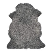Peau de mouton gotlandaise | Laine bouclée courte | 90–100 cm