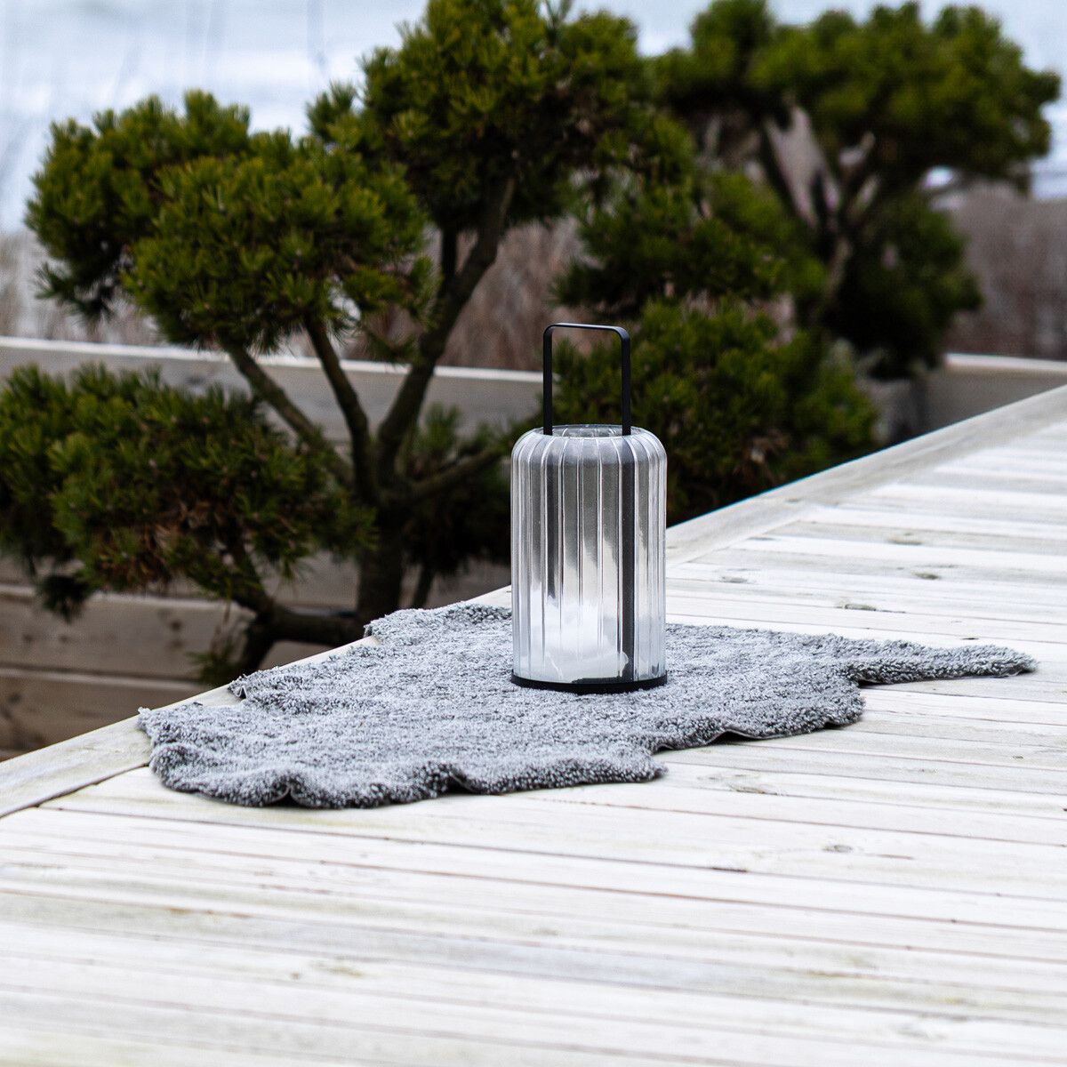 Peau de mouton de Nouvelle-Zélande | Laine courte | 90x60 cm Scandinavie Gris clair