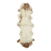 Couleur - Teintes beige/brun
