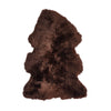 Couleur - Chocolat