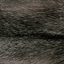 Color - Blue Frost Fox