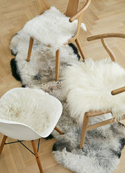 Peau de mouton islandaise | Laine courte | 180 cm