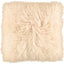 Color - Light Honey